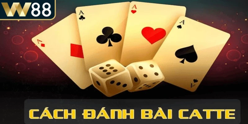 Cách Chơi Catte - Bật Mí Cách Chơi Đánh Bại Đối Thủ 2 Cách chơi Catte luôn thu hút nhờ sự kết hợp giữa chiến thuật tinh tế