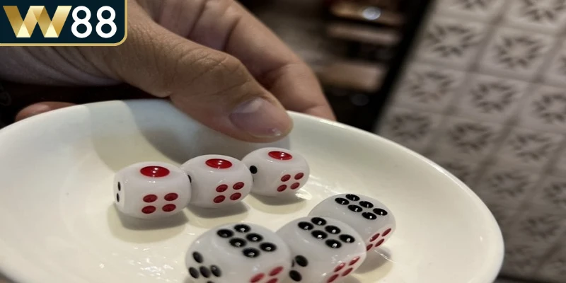 Cách Chơi Xí Ngầu Chi Tiết Giúp Người Mới Thành Công 4 Sai lầm thường gặp trong cách chơi xí ngầu